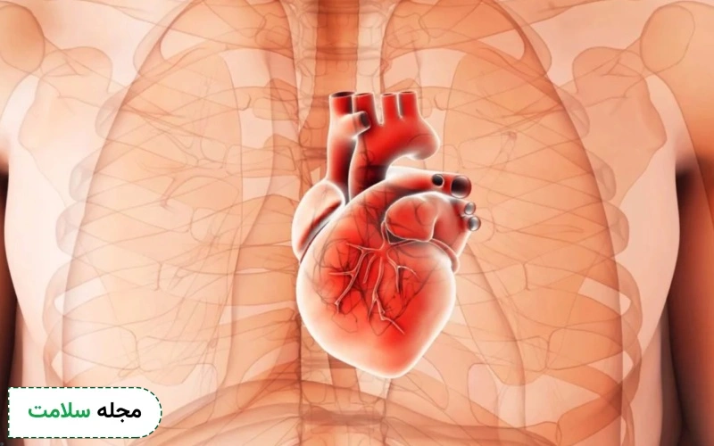 بزرگ شدن قلب یا کاردیومگالی چیست و چه عوارضی دارد؟