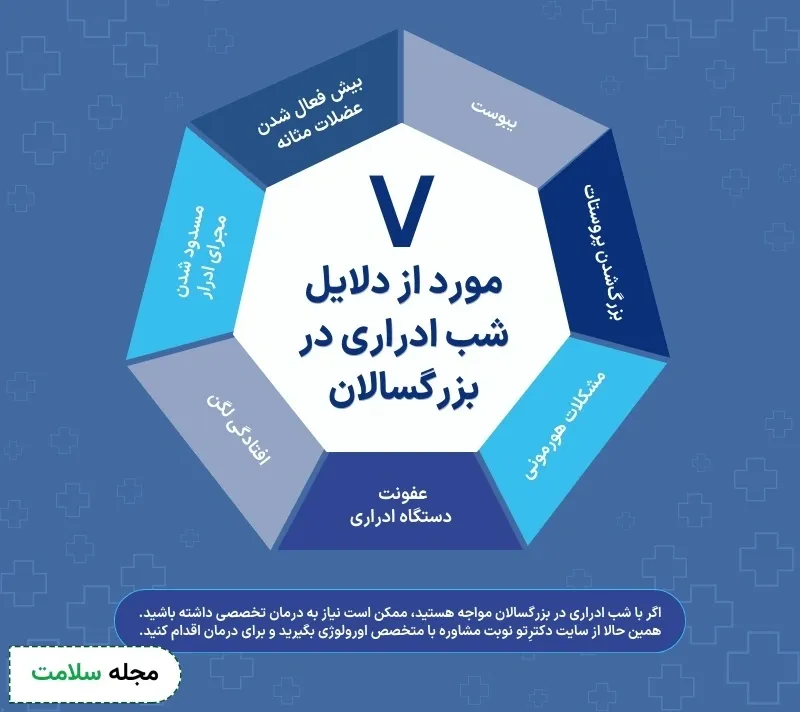 اینفوگرافی شب ادراری در بزرگسالان