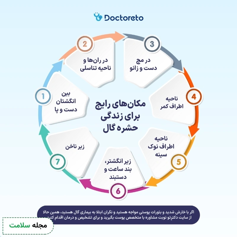 اینفوگرافی بیماری گال