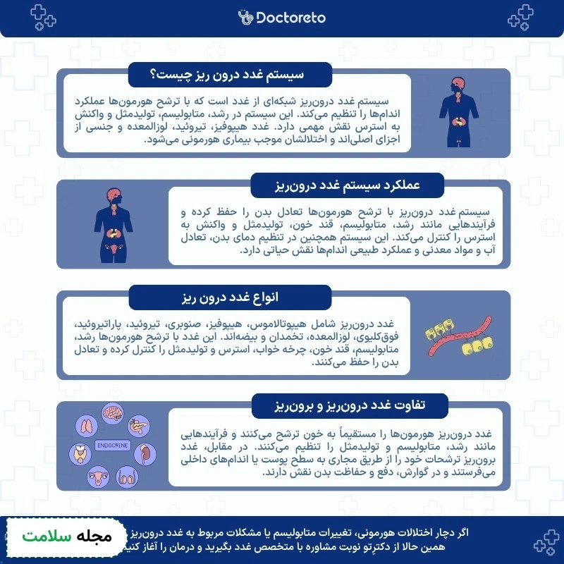 اینفوگرافی سیستم غدد درون ریز