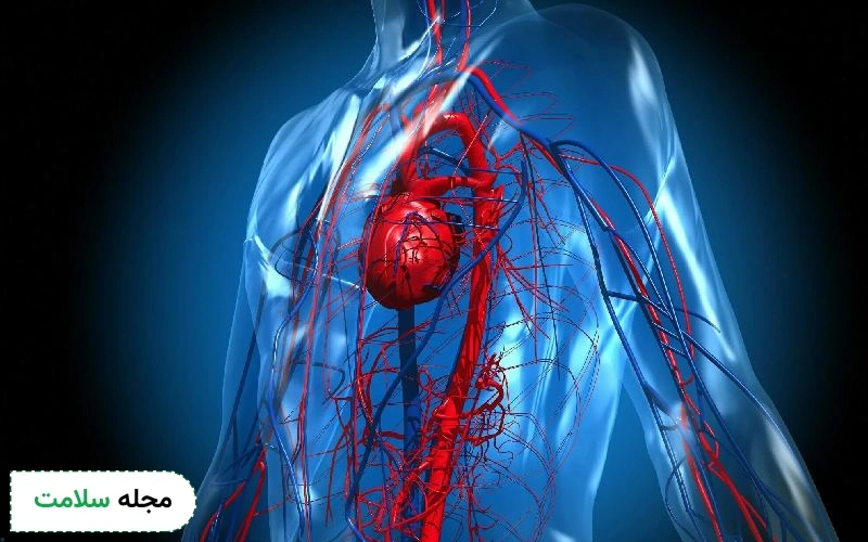علائم بیماری های سرخرگ کدامند؟