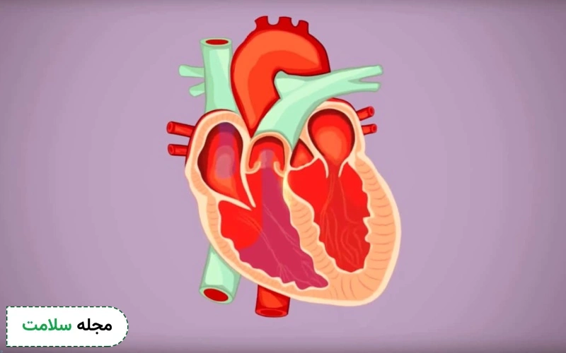 جراحی قلب و بالا و پایین شدن ضربان قلب چیست؟