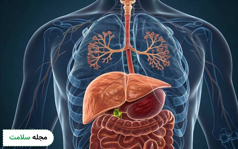عوارض سرطان مجاری صفراوی چیست؟