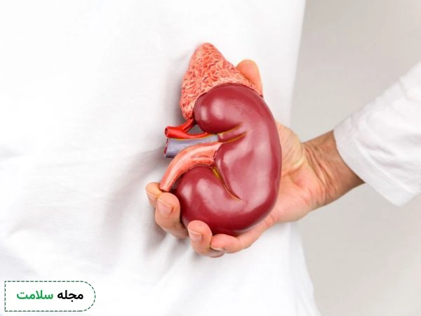 نارسایی کلیه یا کم کاری کلیه | آشنایی با بیماری جدی و خطرناک عصر جدید