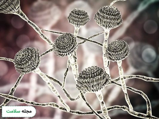 علائم-قارچ-سیاه