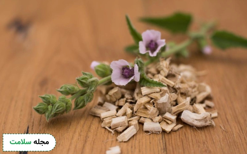 نحوه مصرف گل ختمی چگونه است؟