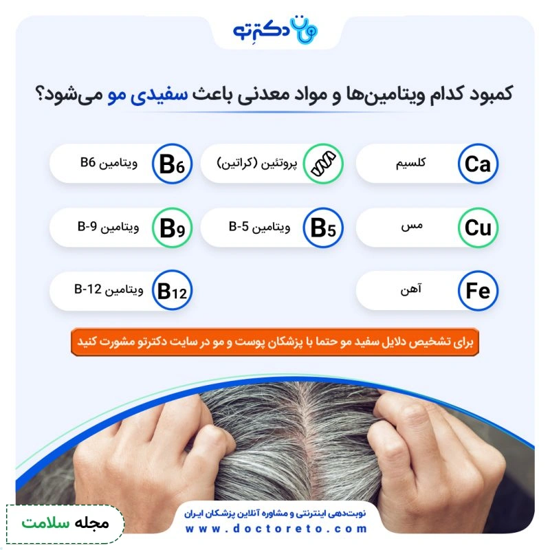 اینفوگرافی معرفی ویتامین‌ها و مواد معدنی که باعث سفیدی مو می‌شوند.
