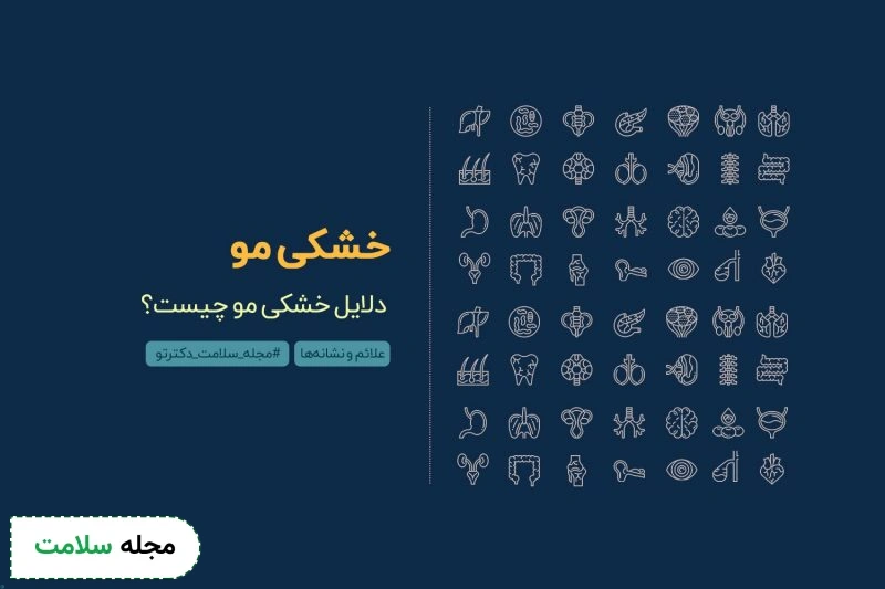 علت خشکی مو چیست؟ چگونه می‌توان با درمان خانگی مشکل خشکی مو را رفع کرد؟