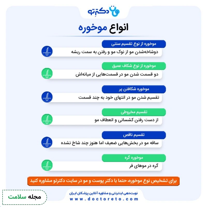 اینفوگرافی انواع موخوره