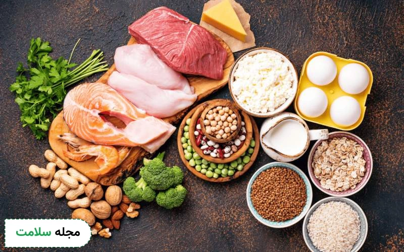 غذاهای پروتئین دار برای لاغری، کامل‌ ترین برنامه غذایی برای یک رژیم کامل