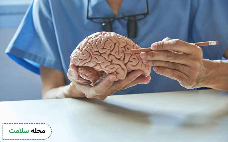 تقویت مغز و اعصاب از چه روش هایی ممکن است؟