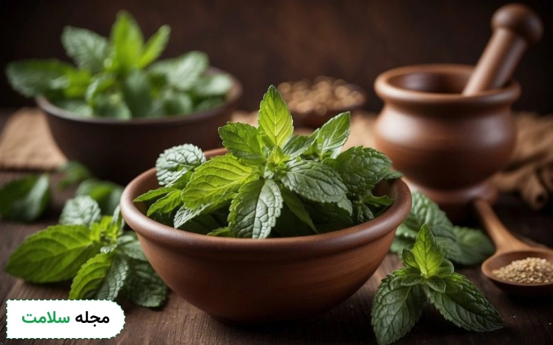 چه زمانی نعنا مصرف کنیم؟