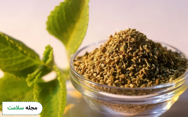عوارض زنیان چیست؟