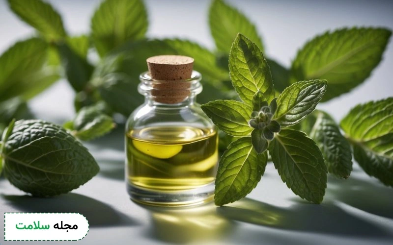 نعنا چه نوع گیاهی است؟