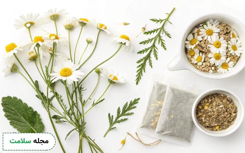 عکس گل بابونه وحشی