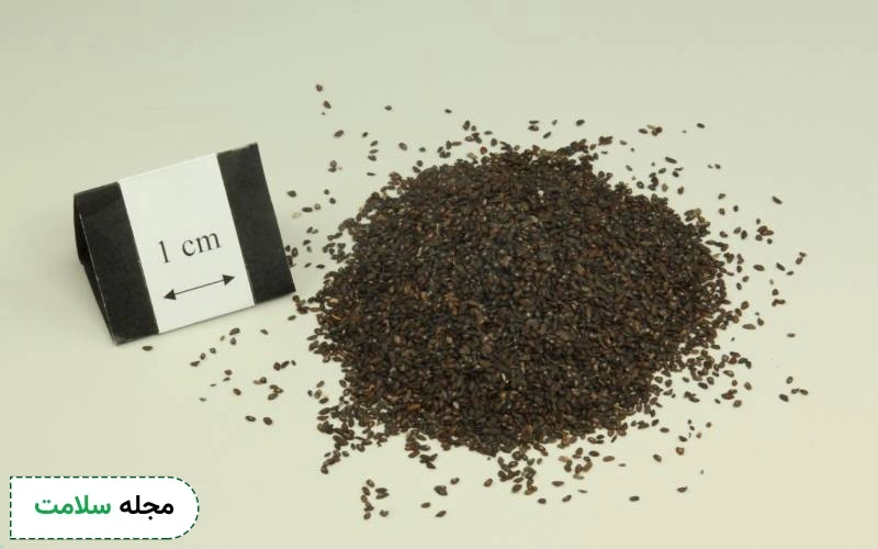 بارهنگ چیست؟ معرفی 19 خواص بارهنگ و طریقه مصرف آن