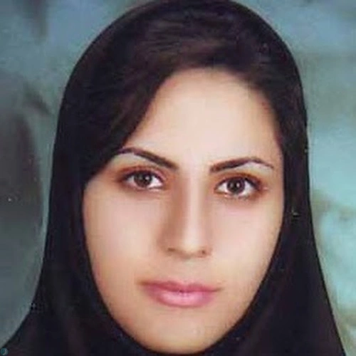 nazanin sadeghi