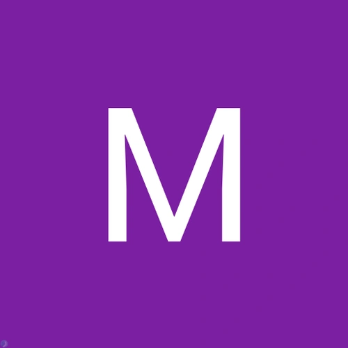 Mohadeseh Asadymafy