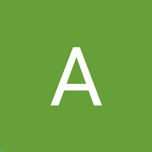 Amir