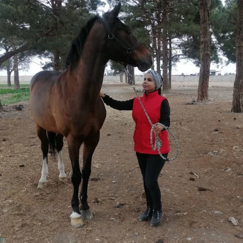 naeima helali