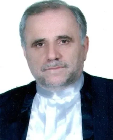 سید ناصر سیدی سیاهکله، وکیل در رحیم آباد | شماره تماس