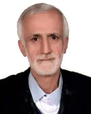علی میرزا پوراربه لنگه، وکیل در رحیم آباد | شماره تماس
