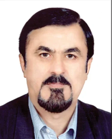 محمد ابراهیم نژادعربانی، وکیل در لاهیجان | شماره تماس و آدرس دفتر