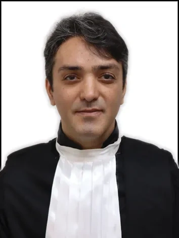 مجتبی رفیعی فلاح آبادی