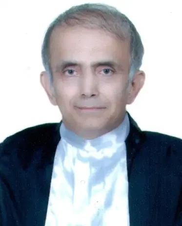 مجید عالی، وکیل در رودبنه | شماره تماس