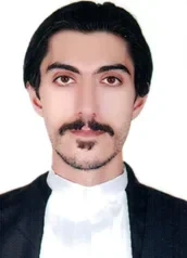 میلاد ملکی