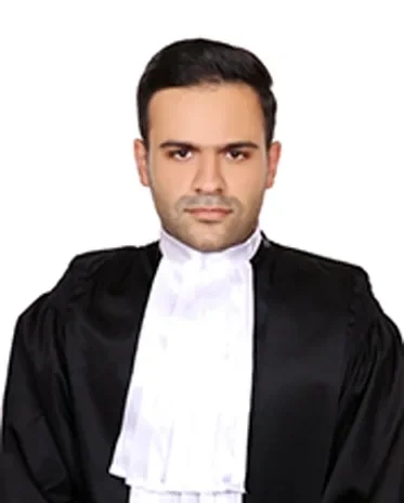مجتبی هادیزاده میشامندانی