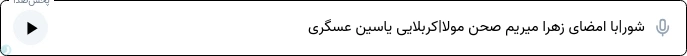 شور|با امضای زهرا میریم صحن مولا|کربلایی یاسین عسگری