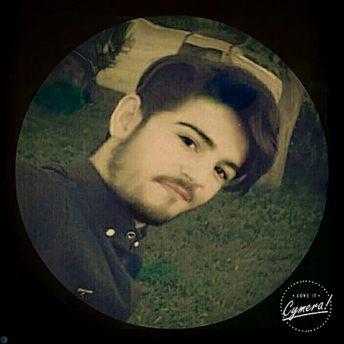 behzad seyfi
