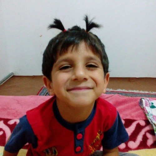 محمد مهدی نایبی