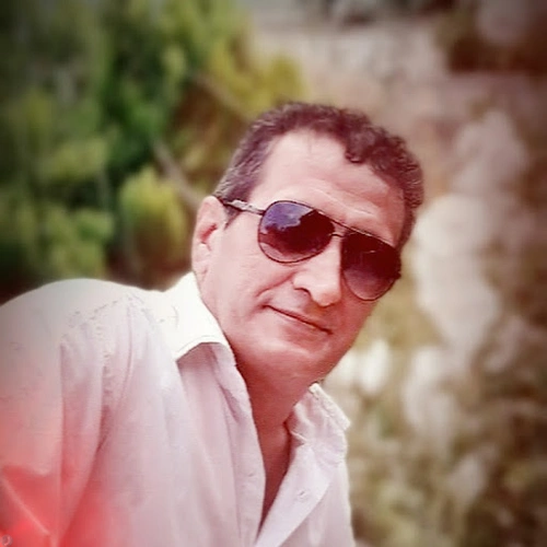 محمود حسنی